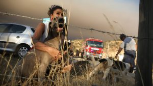 Qué debes hacer en caso de tener que evacuar por incendios forestales
