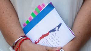 Constitución: proyectos y frustraciones