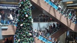No hubo quórum: Senado rechaza apertura de malls durante plebiscito del 17 de diciembre
