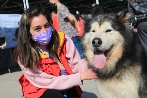 Navidad: ¿Cuáles son los peligros para nuestras mascotas y cómo evitarlos?