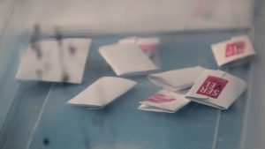Nuestro sistema político: un laberinto a resolver (y pronto)