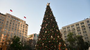 ¿Dónde y cómo surgió la tradición del árbol de Navidad?