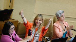 ¿En qué consiste la Ley de Endometriosis y a quiénes beneficiaría?