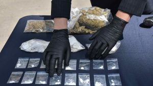 Ministra de Javier Milei: 