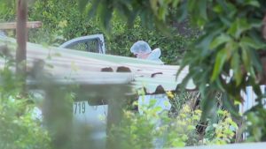 VIDEO - Maipú: buscan osamentas humanas en casa de tortura de banda vinculada al Tren de Aragua