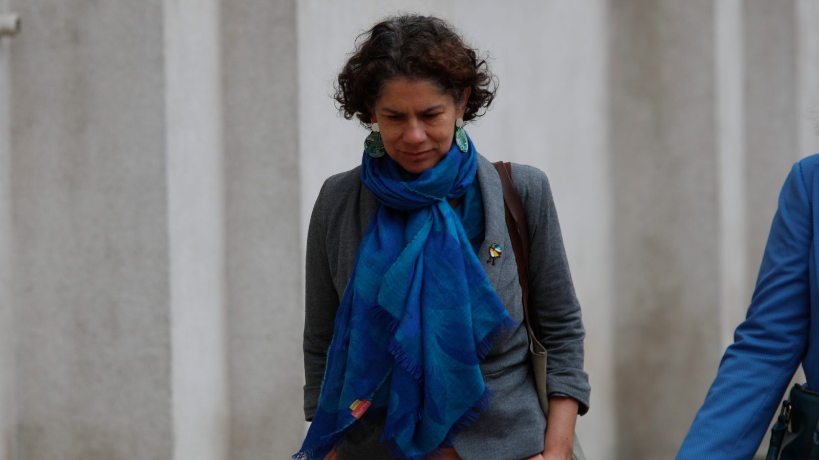 maisa rojas reuniones pablo zalaquett