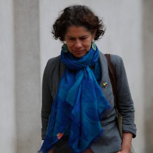 maisa rojas reuniones pablo zalaquett