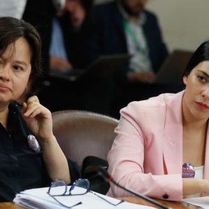 Comisión de la Cámara inició discusión de Ley Macaya