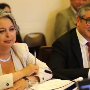 reforma de pensiones asesores previsionales