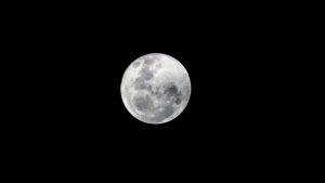 Luna llena de lobo: cuándo es y a qué hora se podrá ver en su máximo esplendor