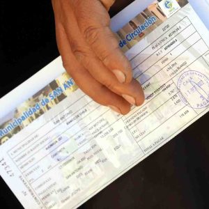 Permiso de Circulación 2024