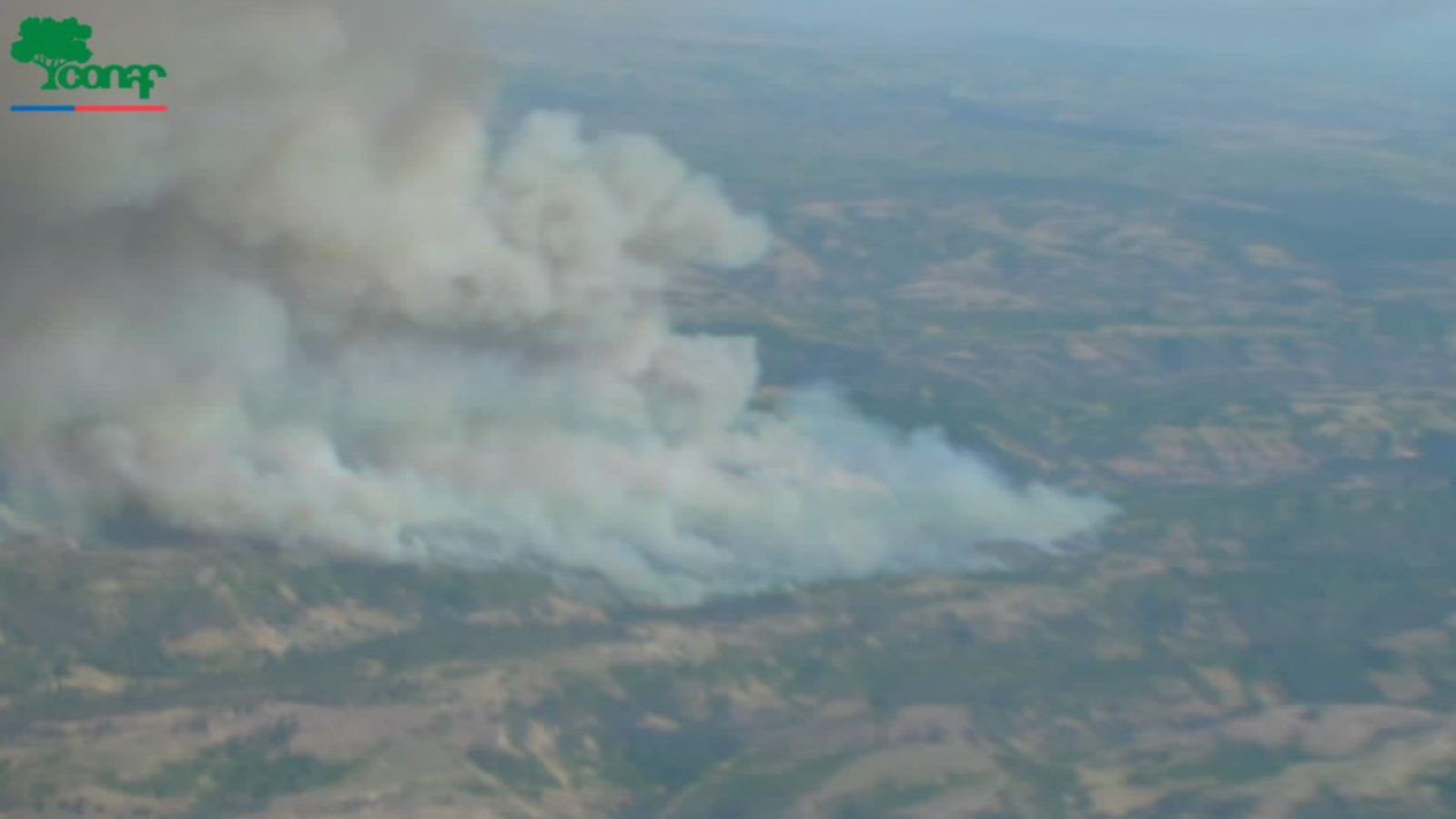 Senapred incendio Navidad Conaf