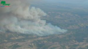 Senapred ordena evacuación de zonas de Navidad ante incendio forestal