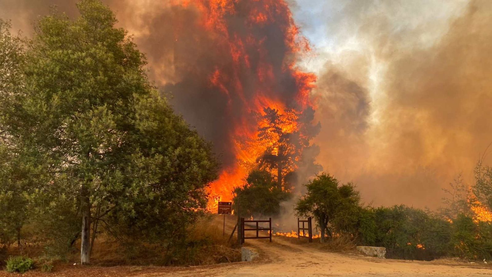 incendio Peñuelas Ruta 68
