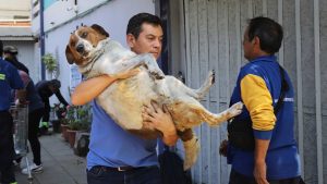 Estos son los albergues y centros de acopio dispuestos por incendios en Valparaíso