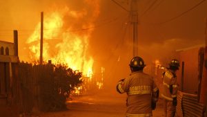 Alcaldesa de Viña del Mar confirma más de 250 desaparecidos por incendios