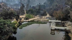 Incendios en Viña: Jardín Botánico se quema por completo y deja cuatro víctimas fatales