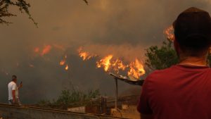 VIDEOS - Los registros que dejaron los incendios en la Región de Valparaíso
