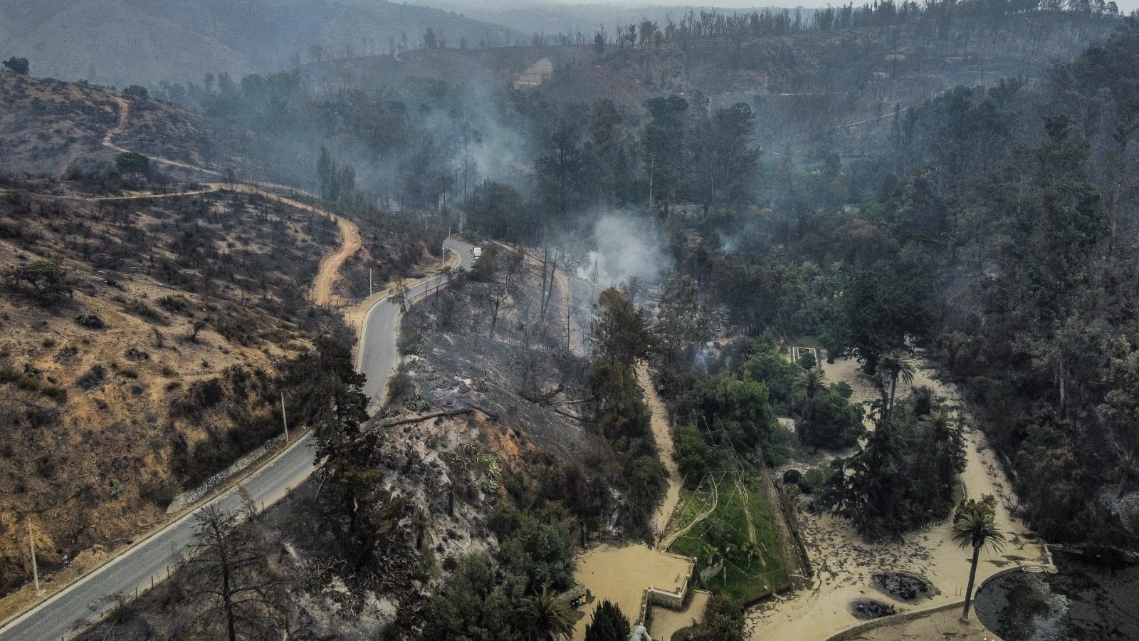 detenidos incendio Jardín Botánico Viña del Mar
