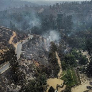 detenidos incendio Jardín Botánico Viña del Mar