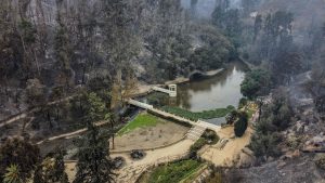 Jardín Botánico de Viña del Mar: así puedes ayudar con donaciones
