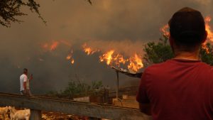 Chile Un Solo Corazón: la “Teletón” que realizará Movidos x Chile para damnificados por incendios