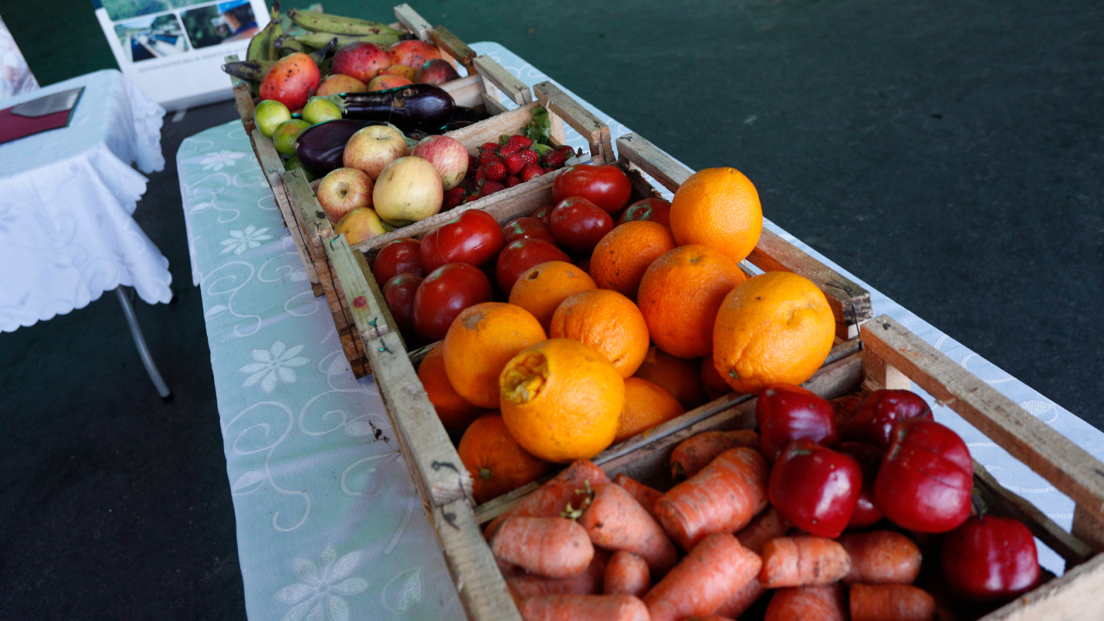 alimentos memoria que ayudan