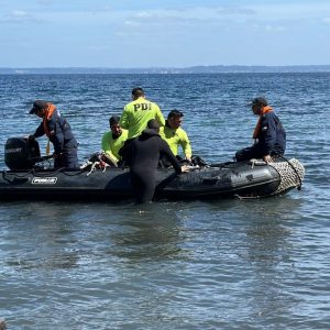 peritajes helicóptero Sebastián Piñera