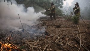 Alerta roja por incendios forestales en la Región de La Araucanía