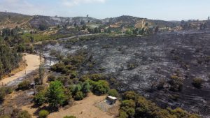 Fuerza de combate CMPC trabajó en incendios de las regiones del Biobío y La Araucanía