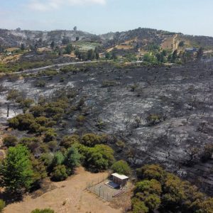 cmpc incendios