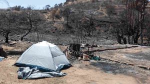 Aseguradoras han recibido cerca de 600 denuncios por los incendios forestales en la Región de Valparaíso
