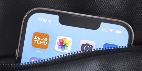 Temu, la app que le gana a shein