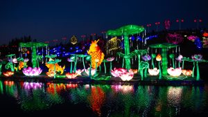 Los seis mejores panoramas para este fin de semana