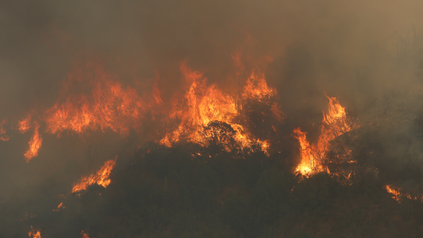 Incendios en el Sur