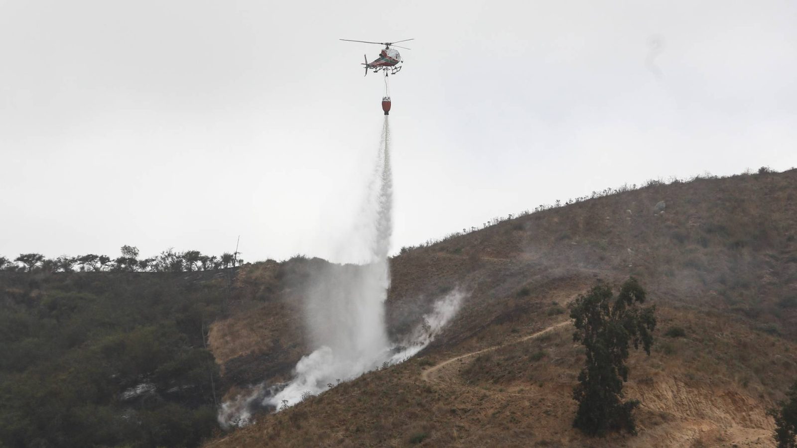 cmpc focos de incendios