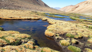 Anglo American completa adquisición del 100% del Santuario de la Naturaleza Los Nogales