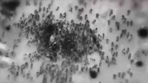 VIDEO - Todo lo que se sabe del ataque de Israel en Gaza que dejó más de 100 muertos