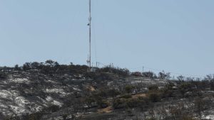 Las verdaderas prioridades para este 2024