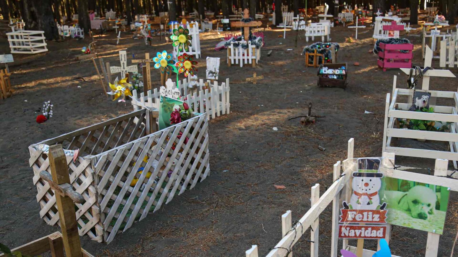 bebé cementerio de mascotas