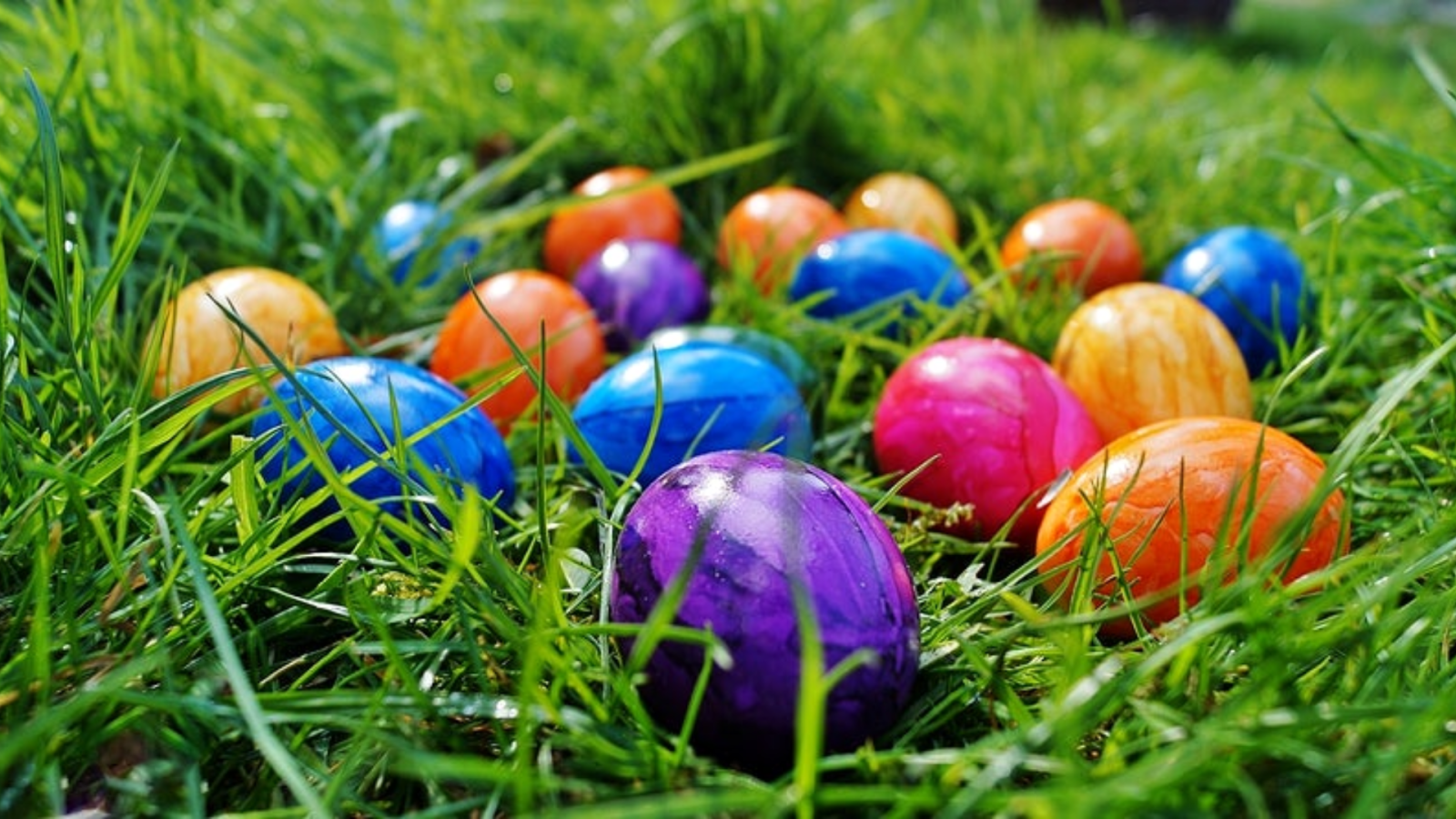 Domingo de Pascua