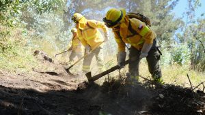 Lluvias y bajas temperaturas: Incendios en las regiones del Biobío y La Araucanía disminuyen a solo tres eventos en los últimos días