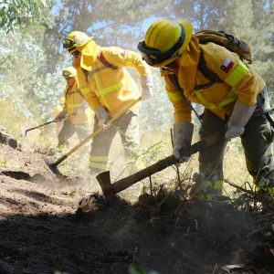 incendios biobío araucanía