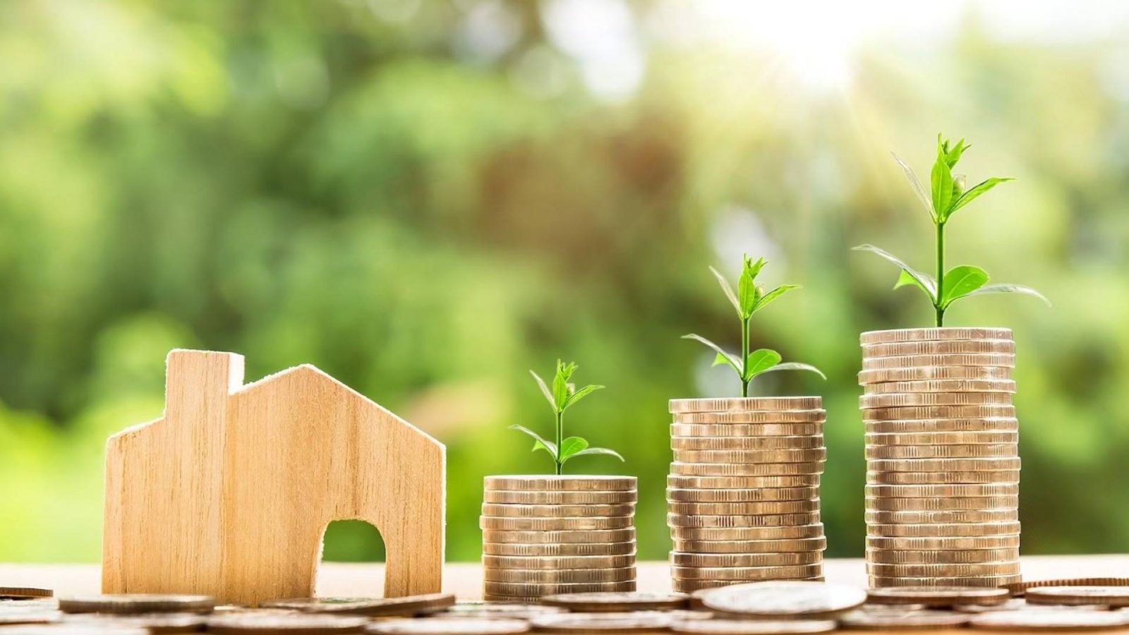 futuro financiero