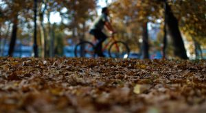 ¿Cuándo comienza el otoño en Chile?