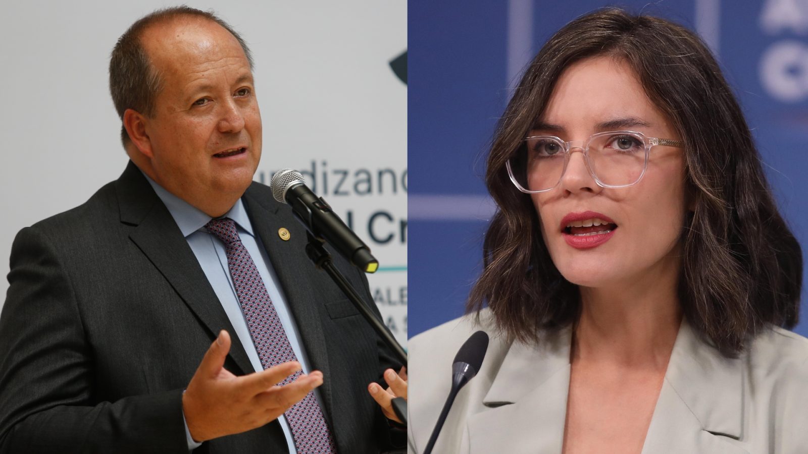 Camila vallejo fiscal nacional ángel valencia