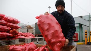 Cédula chilena entre ellos: las nuevas medidas de seguridad para entrar al mercado Lo Valledor