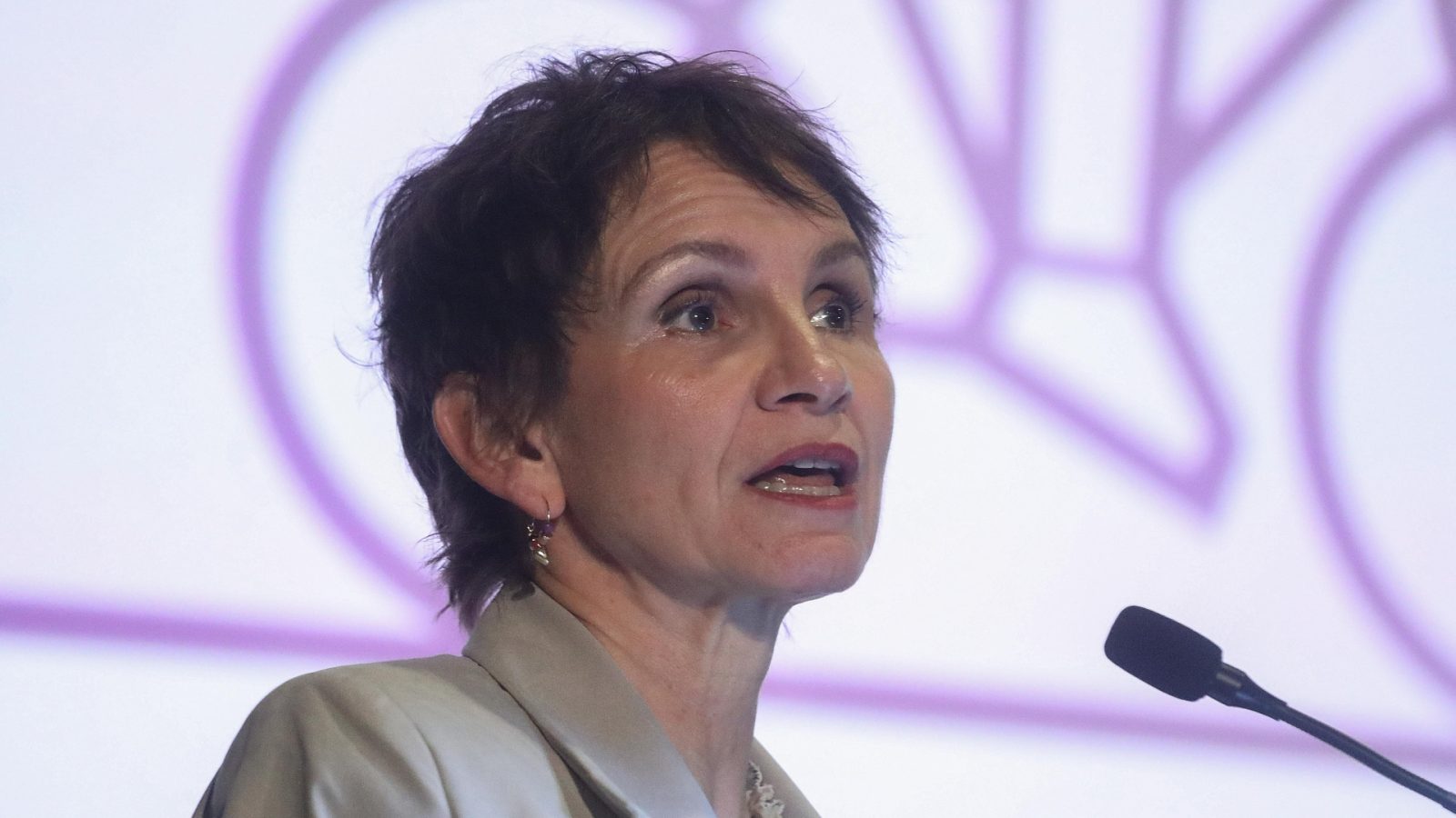 Carolina Tohá aclaró mensaje de Boric más narbona menos craig