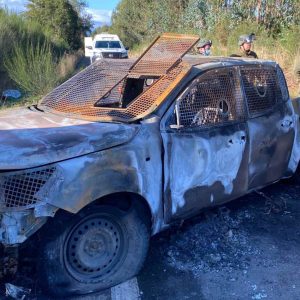 Cañete carabineros WAM