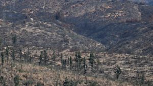 30 años de institucionalidad ambiental: modificaciones que son urgentes